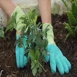 Garden Gloves for Women with Foam Grip (Set of 3)