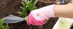 Garden Gloves for Women with Foam Grip (Set of 3)