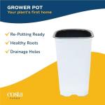 Costa Farms Mandevilla Live Plants | Pack of 4 | 1.5Pt. Houseplants, Flowering Blooms in Plant Pots | Outdoor Decor, Room Decor, Patio, Balcony | Pink Flowers