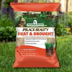 Jonathan Green (10514) Black Beauty Heat & Drought Resistant Grass Seed - Cool Season Lawn Seed (3 lb)