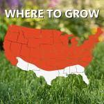 Jonathan Green (10514) Black Beauty Heat & Drought Resistant Grass Seed - Cool Season Lawn Seed (3 lb)