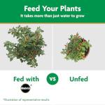 Miracle-Gro Water Soluble Plant Food Vegetables & Herbs 2 lb