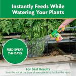 Miracle-Gro Water Soluble Plant Food Vegetables & Herbs 2 lb