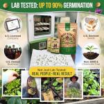 12 Culinary Herb Seeds Variety Pack