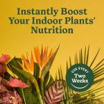 Miracle-Gro Indoor Plant Food for All Plants, Liquid Plant Food for Houseplants, Flowers, Vegetables, Herbs, and More, 8 fl. oz., 2-Pack