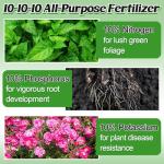 10-10-10 Slow-Release Premium Fertilizer - All-Purpose Plant Food for Indoor Outdoor Gardening Vegetables Flowers Lawn Trees Shrubs, 0.5 Quart