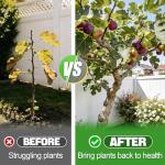 10-10-10 Slow-Release Premium Fertilizer - All-Purpose Plant Food for Indoor Outdoor Gardening Vegetables Flowers Lawn Trees Shrubs, 0.5 Quart