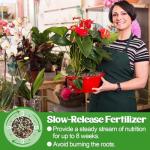 10-10-10 Slow-Release Premium Fertilizer - All-Purpose Plant Food for Indoor Outdoor Gardening Vegetables Flowers Lawn Trees Shrubs, 0.5 Quart