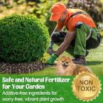 10-10-10 Slow-Release Premium Fertilizer - All-Purpose Plant Food for Indoor Outdoor Gardening Vegetables Flowers Lawn Trees Shrubs, 0.5 Quart