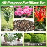 10-10-10 Slow-Release Premium Fertilizer - All-Purpose Plant Food for Indoor Outdoor Gardening Vegetables Flowers Lawn Trees Shrubs, 0.5 Quart