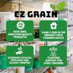 8 Dappled Willow Cuttings to Grow - Stunnning Tricolor Leafs - Salix Integra 'Hakuro Nishiki' - Grow 8 Dappled Willow Bushes