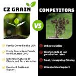 8 Dappled Willow Cuttings to Grow - Stunnning Tricolor Leafs - Salix Integra 'Hakuro Nishiki' - Grow 8 Dappled Willow Bushes