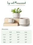 Set of 3 Ceramic Plant Pots with Drainage