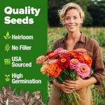 HOME GROWN 𝗨𝗦𝗔 𝗣𝗥𝗘𝗠𝗜𝗨𝗠 Zinnia Dahlia Seeds Pack for 2026 – 524 𝗡𝗢𝗡-𝗚𝗠𝗢 Flower Seeds | Vibrant Zinnia Elegans for Pollinator Gardens, Borders & Containers | Easy-to-Grow Outdoor Blooms