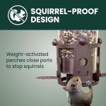 Squirrel-Proof Large Wild Bird Feeder - 4LB Capacity