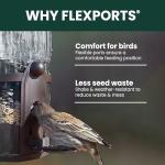 Squirrel-Proof Large Wild Bird Feeder - 4LB Capacity