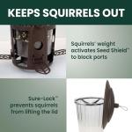 Squirrel-Proof Large Wild Bird Feeder - 4LB Capacity