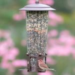Squirrel-Proof Large Wild Bird Feeder - 4LB Capacity