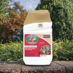 Bonide Captain Jack's Deadbug Brew, 16 oz Concentrate Outdoor Insecticide and Mite Killer for Organic Gardening