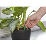 Plant Food Spikes, 6-12-6 Formula, 1.1-oz.