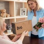 Solar Garden Dog Figurine with Butterfly Decoration