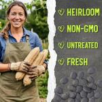 Seed Needs Luffa Seeds for Planting Loofah Sponge Gourds - Non-GMO Heirloom & Untreated Veggie Seed to Plant a Home Grown Outdoor Vegetable Garden (1 Pack)