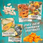 Seed Needs Luffa Seeds for Planting Loofah Sponge Gourds - Non-GMO Heirloom & Untreated Veggie Seed to Plant a Home Grown Outdoor Vegetable Garden (1 Pack)