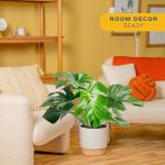 Costa Farms Monstera Swiss Cheese Plant - Indoor Decor