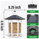 Birdream 2 Pack Solar Bird Feeders for Outdoors Hanging, Assembly Required, 1-Min Easy Setup, Wild Seed Feeders for Cardinals Chickadees and Finches