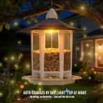 Birdream 2 Pack Solar Bird Feeders for Outdoors Hanging, Assembly Required, 1-Min Easy Setup, Wild Seed Feeders for Cardinals Chickadees and Finches