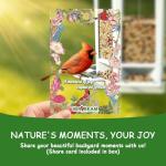 Birdream 2 Pack Solar Bird Feeders for Outdoors Hanging, Assembly Required, 1-Min Easy Setup, Wild Seed Feeders for Cardinals Chickadees and Finches