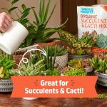 Organic Succulent & Cacti Mix - 6 Quart