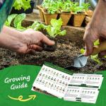 PLANTMEW 30 Heirloom Vegetable Seeds for Planting, 12,000+ Garden Seeds - Non-GMO Vegetable, Herb, Fruit Seeds - Survival Seed Vault with Tomato, Basil, Lettuce, Bean, Pepper, Squash and More