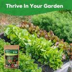 PLANTMEW 30 Heirloom Vegetable Seeds for Planting, 12,000+ Garden Seeds - Non-GMO Vegetable, Herb, Fruit Seeds - Survival Seed Vault with Tomato, Basil, Lettuce, Bean, Pepper, Squash and More