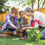 Adnee 4 Pack Wooden Whiskey Barrel Planters - 4 Sizes Wooden Bucket Barrel Garden Planters Set - Rustic Flower Planters Pots Container for Indoor Outdoor Garden Home Plants(4.7",6.1",7.1",9")