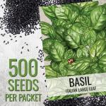 Seed Needs Italian Large Leaf Basil Seeds for Planting - Non-GMO, Heirloom & Untreated - Organically Grow an Indoor or Outdoor Home Grown Herb Garden (1 Pack)
