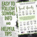 Seed Needs Italian Large Leaf Basil Seeds for Planting - Non-GMO, Heirloom & Untreated - Organically Grow an Indoor or Outdoor Home Grown Herb Garden (1 Pack)