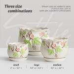 STHIE Ceramic Plant Pots with Drainage Holes and Saucers, Round Flower Pots for Indoor Plant, 3.9/5.2/6.7 Inches Small Flower Planters Set of 3