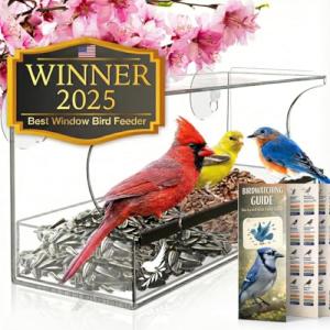 Suction Cup Window Bird Feeder with Seed Tray