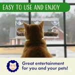 Suction Cup Window Bird Feeder with Seed Tray