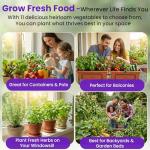 Heirloom Vegetable and Fruit Seeds Variety Pack
