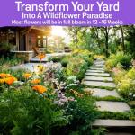 85,000 Wildflower Seeds, 35 Varietiey Wild Flowers Bulk Flower Seeds, Mix of Annual and Perennial Bulk Packet Seeds for Planting, Perennial Wild Flower Seeds, Semillas de Flores Hermosas