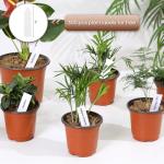 Hemikaki 300 Pack 4 Inch Plastic Nursery Pots for Plants, Small Seedling Pots Succulent Pots Flower Pots with Drainage Holes, Come with 300pcs Plant Labels