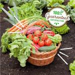 Back to The Roots Organic Worm Castings for Plants, Natural Fertilizer and Soil Enhancer for Gardening, Made in The USA, 5lb