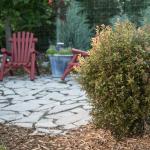 First Editions 2 Gal. Litlle Devil Ninebark Shrub