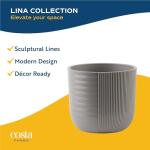 Costa Farms Bonsai Miniature Tree Live Plant in Decorative Pot, Indoor Houseplant, Perfect for Home, Room, or Office Decor, Great House Warming or Birthday Gift, 7-10 Inches Tall