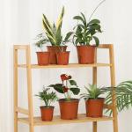 Hemikaki 300 Pack 4 Inch Plastic Nursery Pots for Plants, Small Seedling Pots Succulent Pots Flower Pots with Drainage Holes, Come with 300pcs Plant Labels