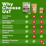 15 Heirloom Culinary Herb Seeds - Non-GMO