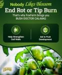 FoxFarm BushDoctor Cal-Mag - Liquid Calcium & Magnesium Supplement, Prevents Blossom End Rot & Tip Burn - Formula with 3% Calcium, 0.9% Magnesium for Gardening- NPK 1-0-0 (Pint)
