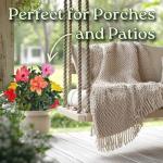 Tropical Plants of Florida Live Hibiscus Bush – Mystery Multi-Color Flowering Shrub in 3 Gallon Pot, 24 to 28” Tall – 2 to 3 Mixed Bloom Colors, Outdoor Tropical Garden Plant